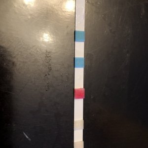 F9ADBA1D-E70D-4F2E-AA16-4FF111C7A595.jpeg