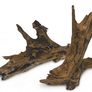 Malaysian Driftwood (2).jpg