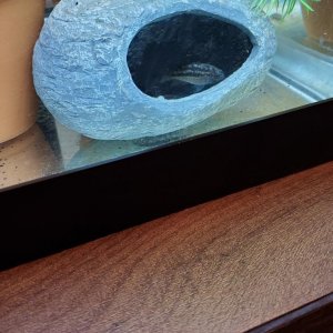20220130_180922.jpg