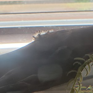 20220227_152956.jpg