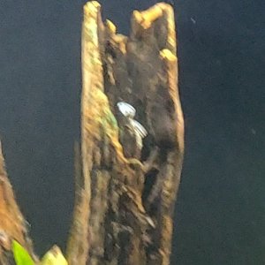 IMG_20220123_083522.jpg