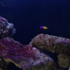 IMG_20220316_113602.jpg
