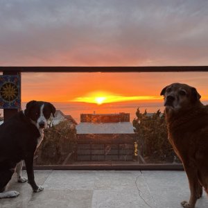 sunset.jpg