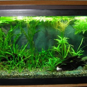 70g Sep 2-10.JPG