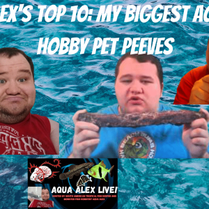 Aqua Alex's Top 10 My Biggest Aquarium Hobby Pet Peeves.png