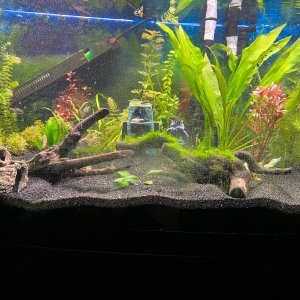 Tank 4-3-22.jpg