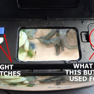 Love Fish 64L Switches.jpg