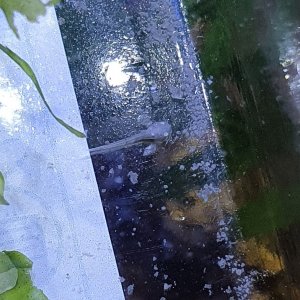 20220409_192055.jpg