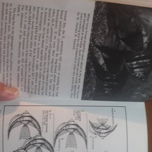 20220420_172043.jpg