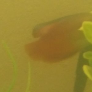 20220423_090034.jpg