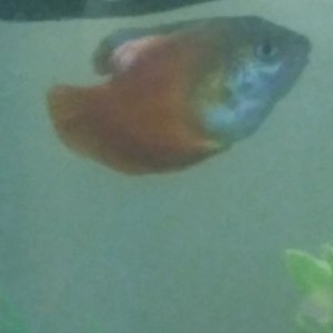 20220423_093026.jpg