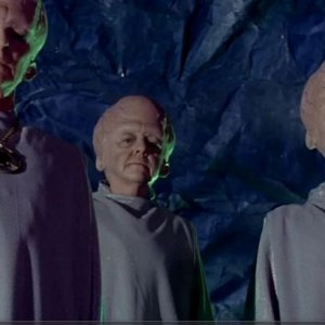 heads.JPG
