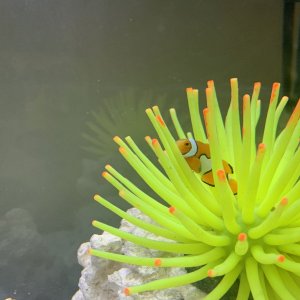 96785B05-B179-4CED-BA2A-2A42145D0821.jpeg