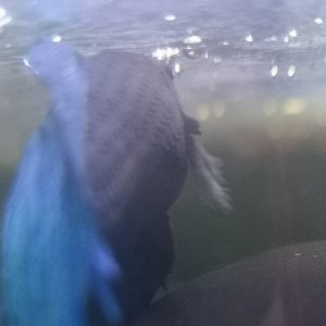 IMG_20220425_191508.jpg