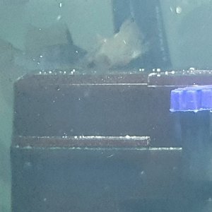 20220430_132218.jpg