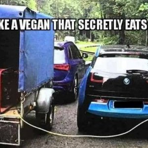 vegan.jpg