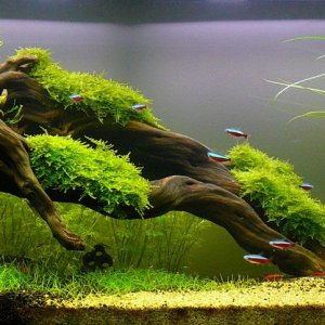 2012-67-01-big.jpg