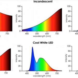 led-lighting-2.jpg