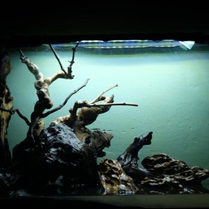 DSCF8654.JPG