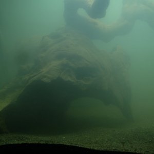 DSCF8756.JPG