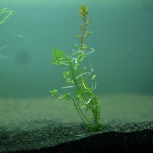 DSCF8773.JPG