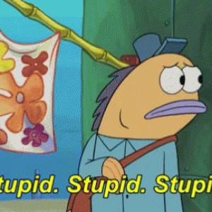 youre-an-idiot-stupid[1].gif