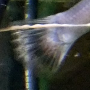 20220602_201734.jpg