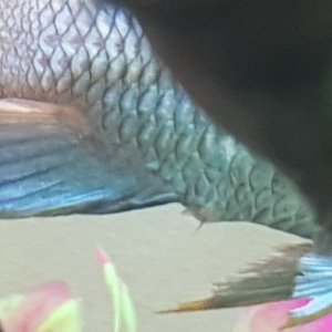 20220606_232955.jpg
