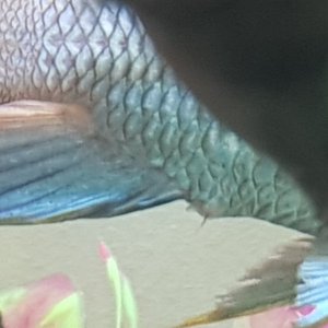 20220606_232956.jpg