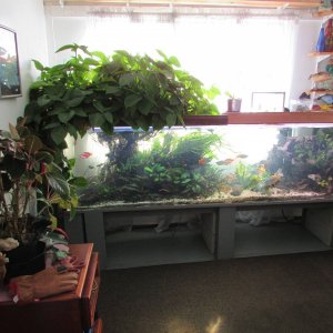 IMG_4608.JPG
