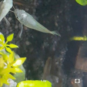 Screenshot_20220609-065832_Video Player.jpg