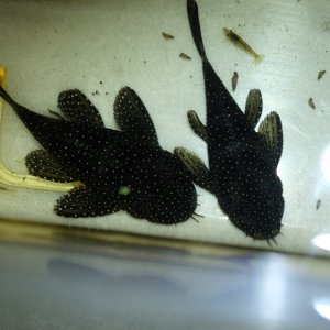 DSCF8913.JPG