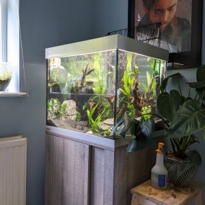 fish tank 2.jpg