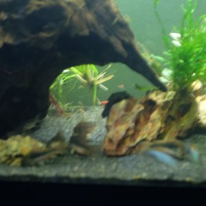DSCF8924.JPG