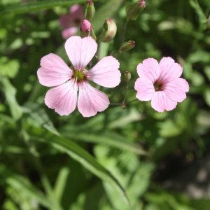 IMG_6031.JPG