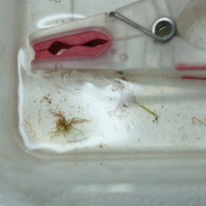 DSCF9067.JPG