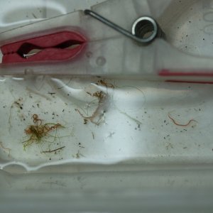 DSCF9062.JPG