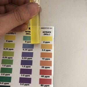 nitrate.jpg