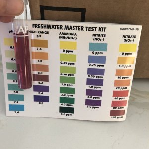 ph_high.jpg