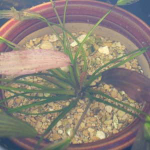 DSCF9072.JPG