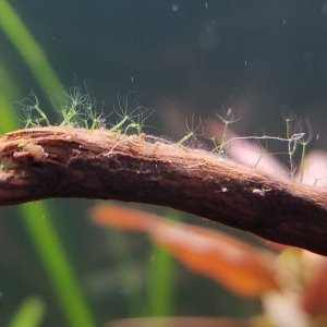 20220628_120428.jpg