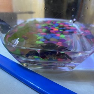 12B7CD33-FE76-4B1B-8395-BB87AE252B19.jpeg