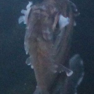 IMG_2323.JPG