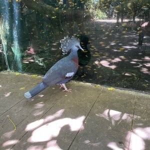 2830CD6B-5AAA-41FC-A26B-843D61C22CF1.jpeg