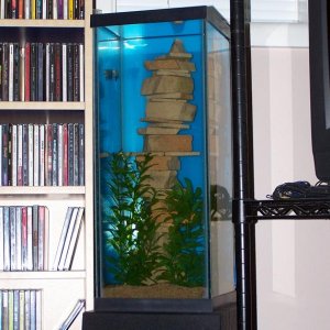 6_gallon_betta.JPG