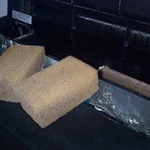 eclipse__foam_inserts_aka_sponge.jpg