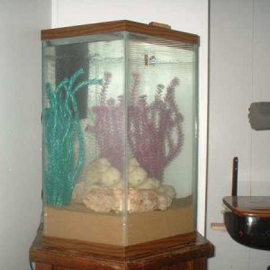 setup_3.jpg