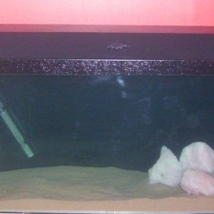 newtank.jpg