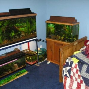 Andwer__s_fish_1_019.jpg