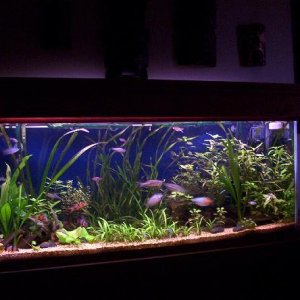 picture1.jpg